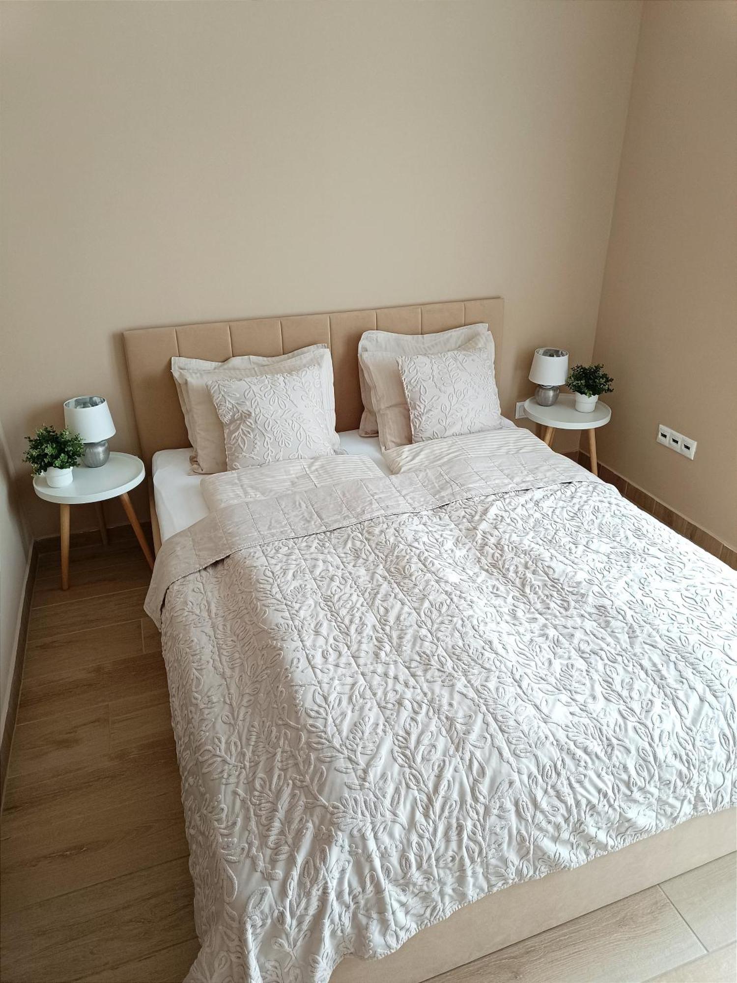 Modern Lux Home 塞格德 外观 照片